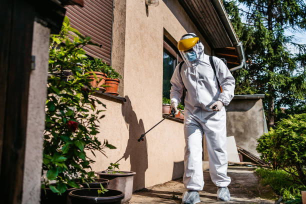 Best Exterminator Services  in Airmont, NY
