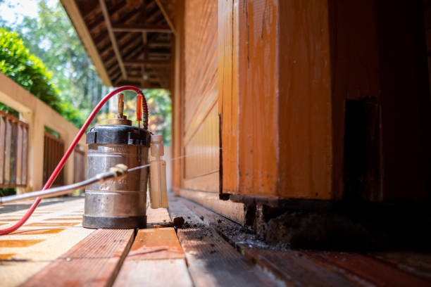 Best Pest Prevention Services  in Airmont, NY
