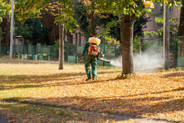 Best Wasp Removal Services  in Airmont, NY